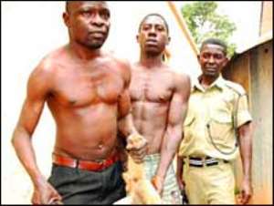 Shock at Uganda dog meat arrests